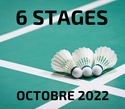 Stages de Badminton en Octobre